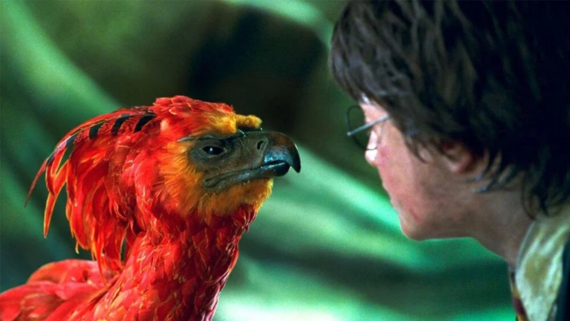 fenix-harry-potter