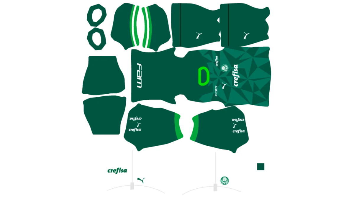 Kit do Palmeiras DLS