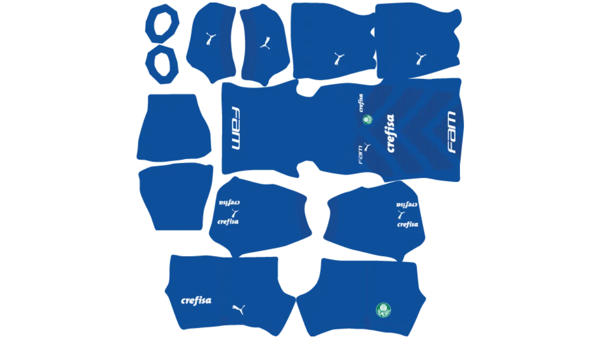 Kit do Palmeiras DLS