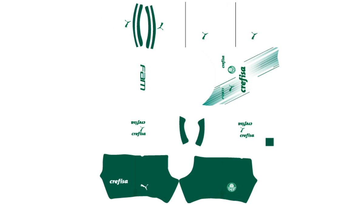 Kit do Palmeiras DLS