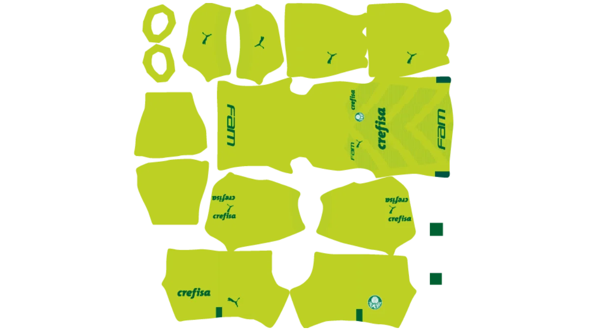 Kit do Palmeiras DLS