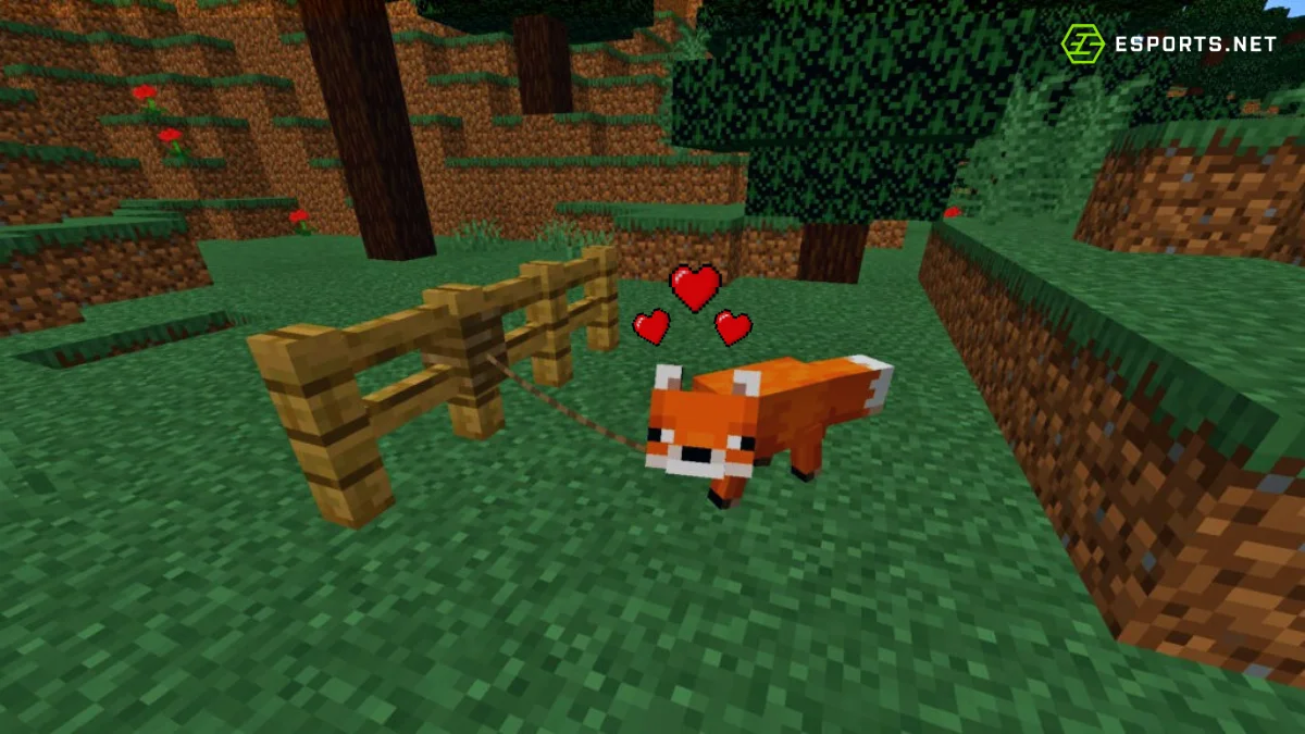 como domesticar raposa