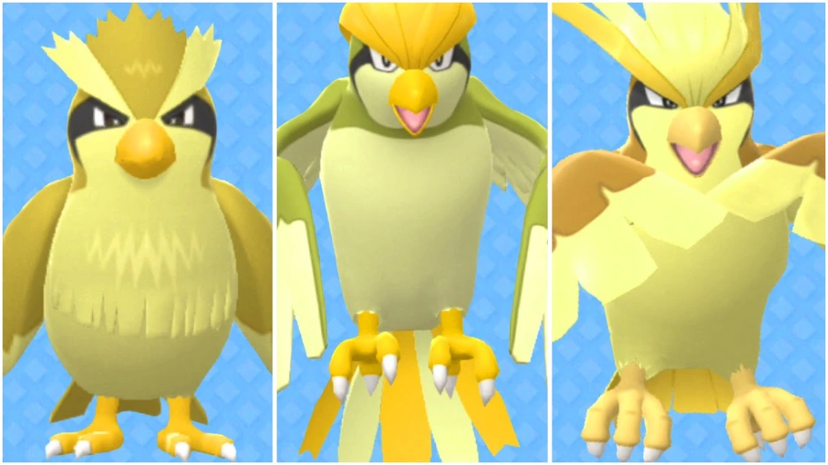 Pideot Shiny no Pokémon GO
