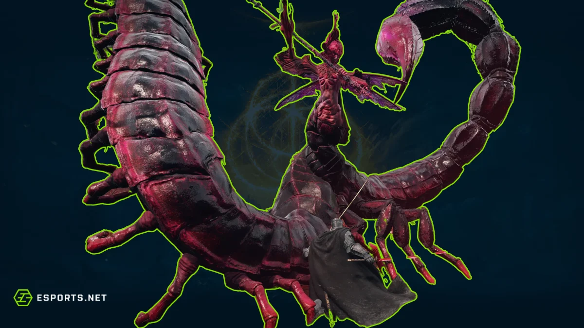 Romina, Santa do Broto