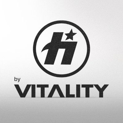 logo scellant le partenariat entre Havok et Vitality
