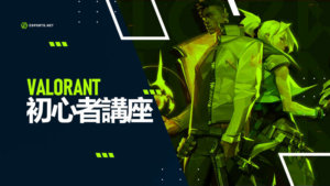 【Valorant】 初心者向けキャラ情報を紹介