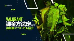 【Valorant】課金方法は?課金額についても紹介!