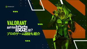 【Valorant】設定のおすすめは?プロのゲーム設定も紹介!