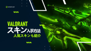 【Valorant】スキン入手方法は?人気スキンも紹介!