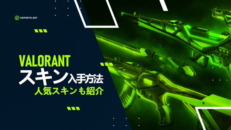 Valorant スキン