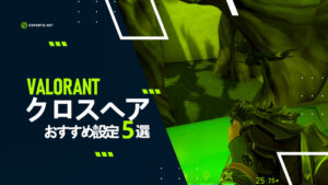 【Valorant】クロスヘアのカタチおすすめ設定5選