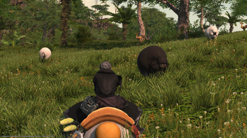 FF14_無人島_レア動物