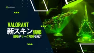 Valorant新スキン情報!値段やリーク対策も紹介!