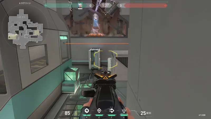 Valorant アイスボックス