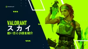 【VALORANT】スカイの使い方と小技