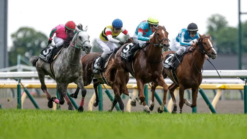 ブックメーカー 競馬 おすすめ