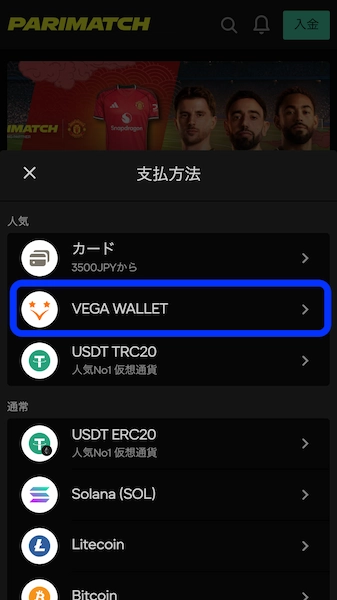 ベガウォレット カジノ 入金