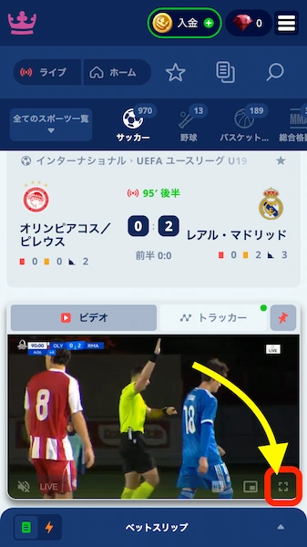 サッカー 予想 賭け