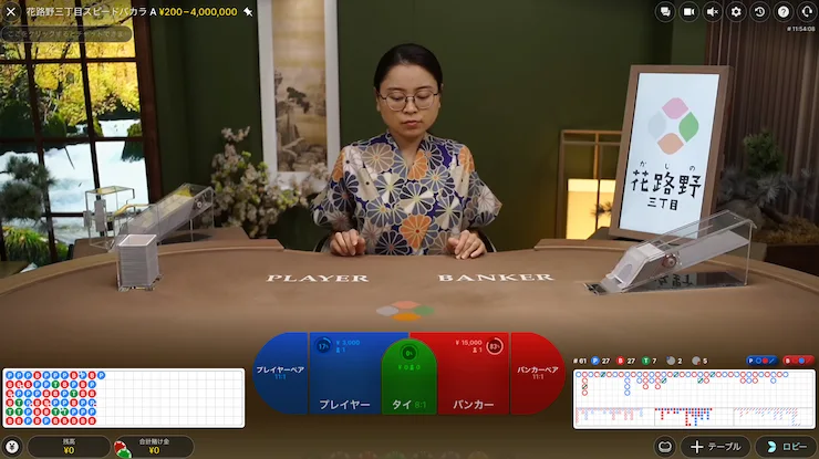 オンラインカジノ 合法