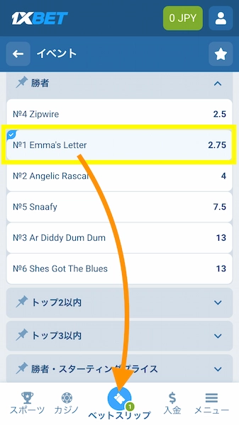 ブックメーカーでの競馬のやり方 