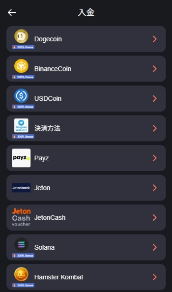 ボンズカジノ ぺイズ決済