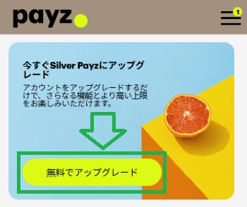 Payz 日本