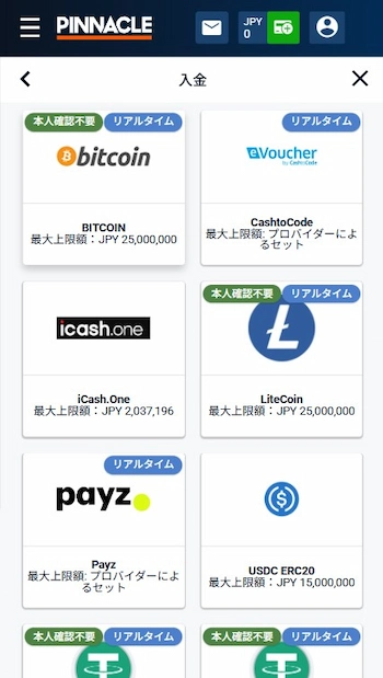 ピナクル 入金 やり方