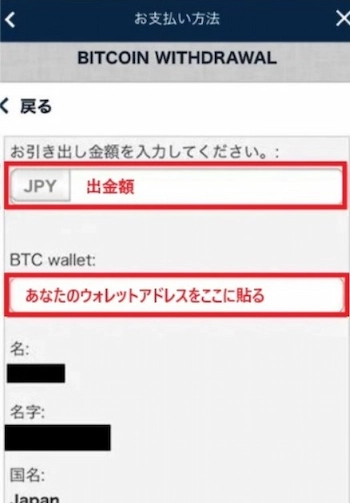 ピナクル 出金方法