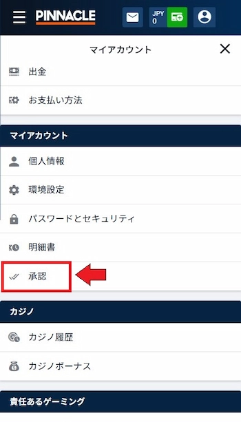 ピナクル 本人確認