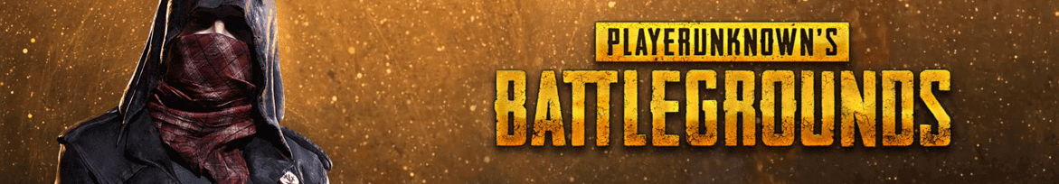 playerunknown battleground banner