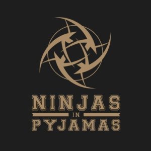 The Rise and Fall of the Ninjas
