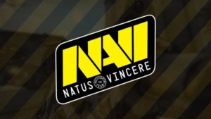 Na’Vi Get Their First Qualifying Points in the Dota Pro Circuit