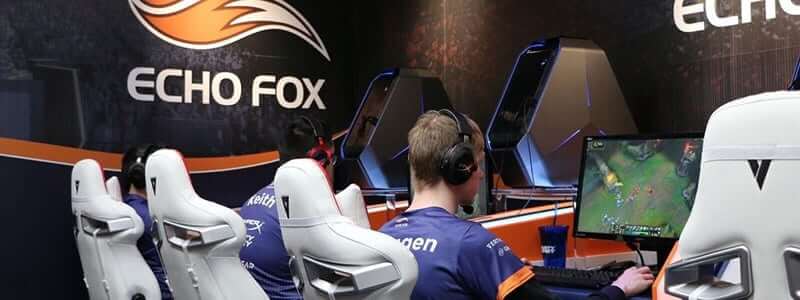 Echo fox