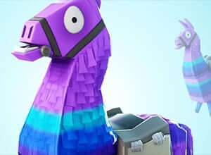 fortnite loots