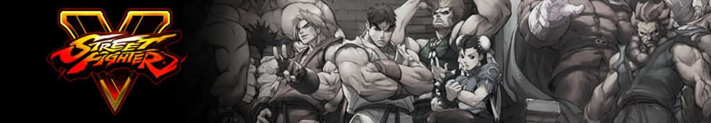 street figher banner 5