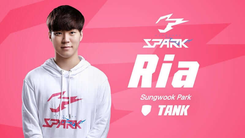 hangzhou-spark-ria-owl
