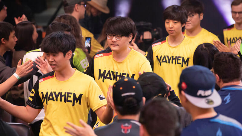 florida-mayhem-new-roaster-korean