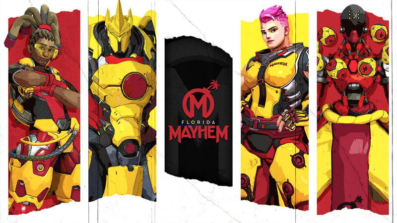 florida-mayhem-new-wallpaper-owl