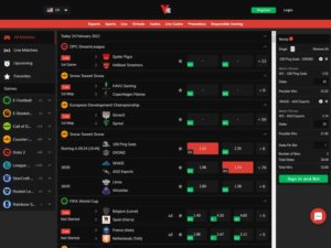vie-bet-esports