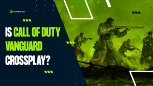 Is Call of Duty Vanguard Cross-Platform?