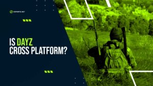 Is DayZ Cross-Platform? Understanding DayZ Crossplay