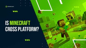 Is Minecraft Cross Platform?