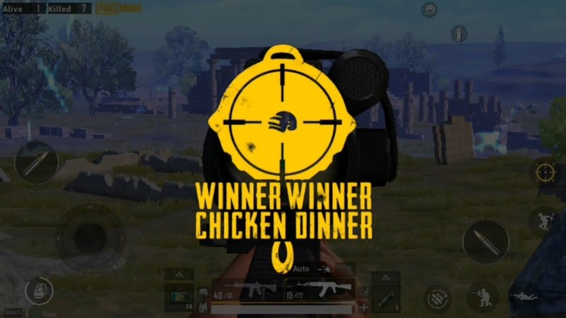 best pubg pro settings chicken