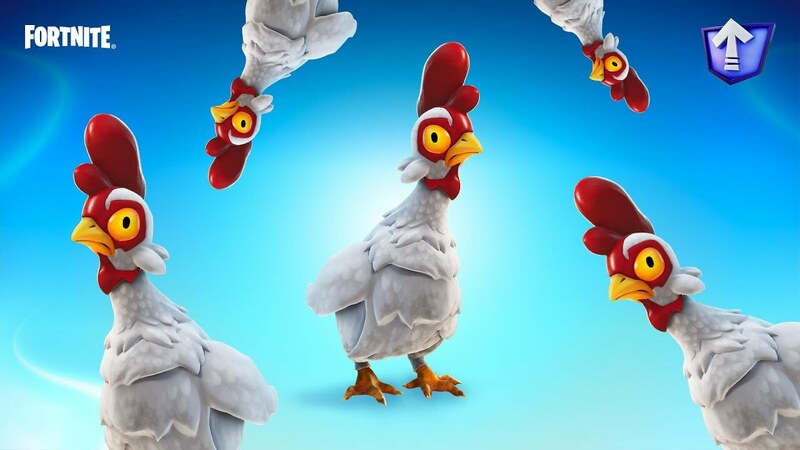 FN Chickens