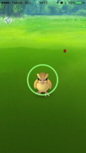 What do the different circles mean in Pokémon GO?