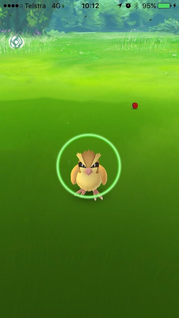 What do the different circles mean in Pokémon GO?