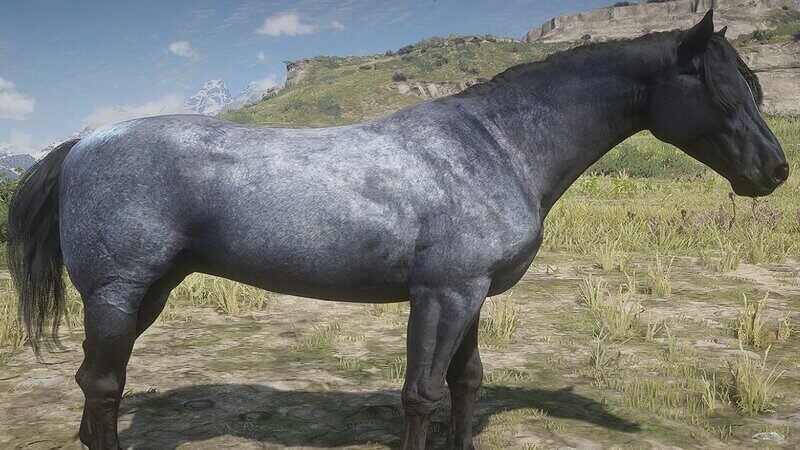 rdr2-nokota