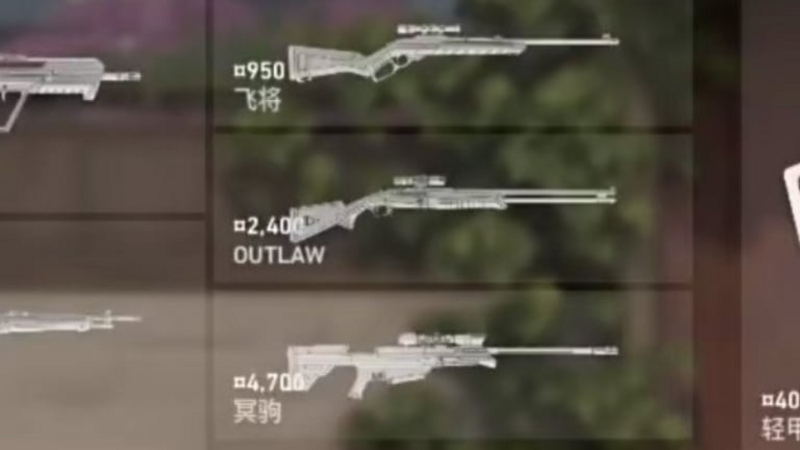 VALORANT Outlaw