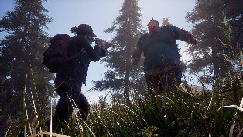 state-of-decay-crossplay