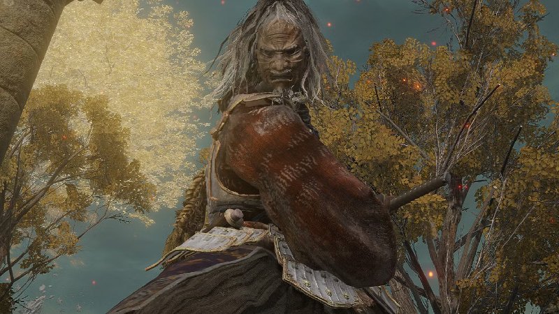 Best Katana Elden Ring quick draw pose